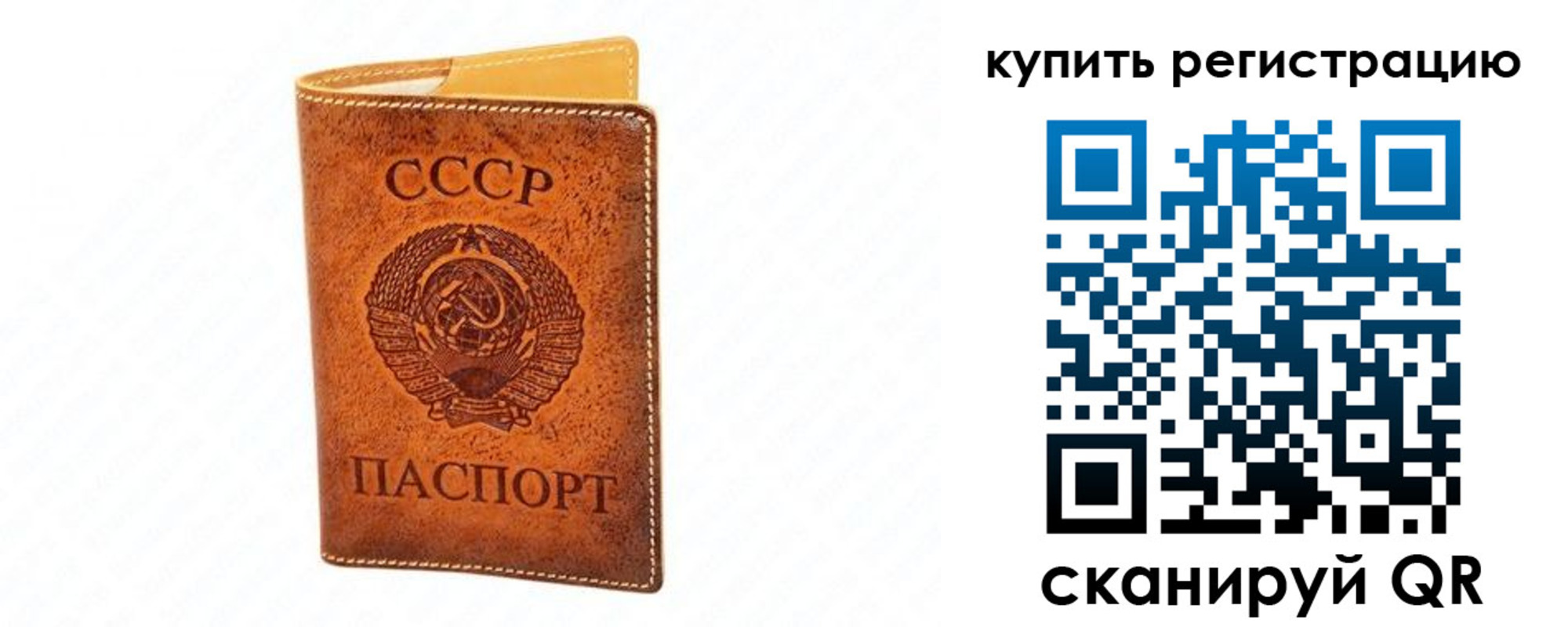 прописка регистрация в Мончегорске